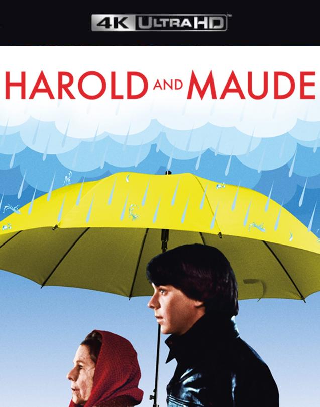 Hd Vuda Harold and Maude VUDU 4K - HD MOVIE CODES