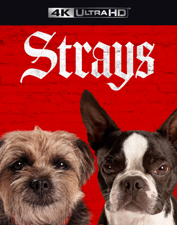 Strays VUDU 4K or iTunes 4K via MA