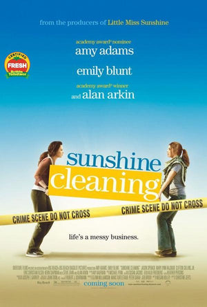 Sunshine Cleaning VUDU HD