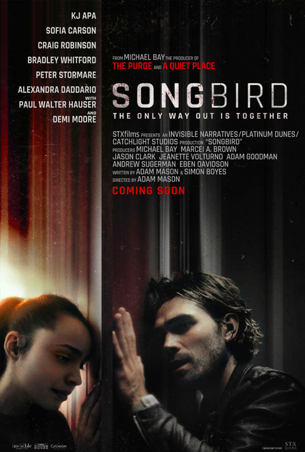 Songbird iTunes 4K